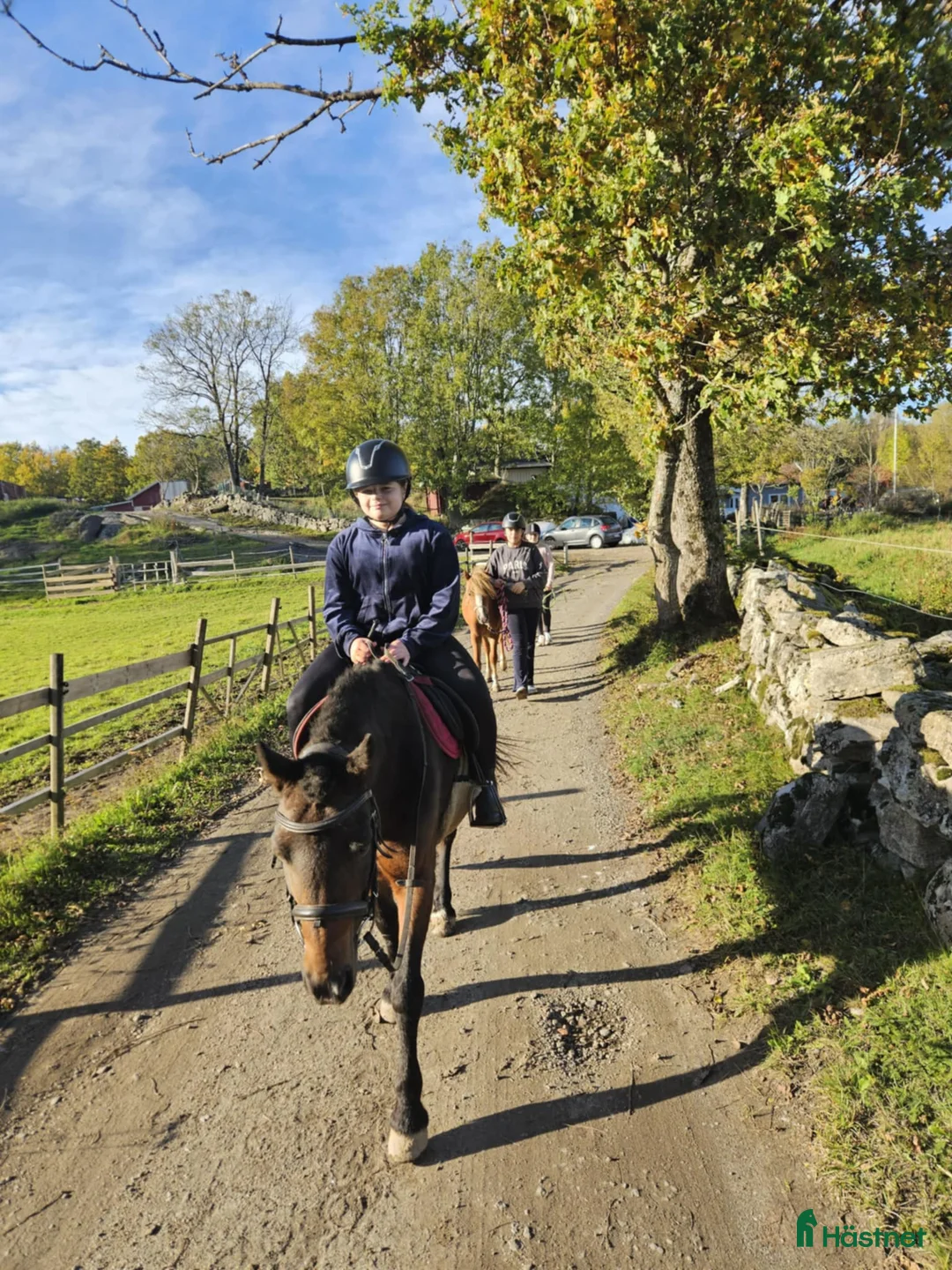  medryttarhäst finnes: Ponnys söker medryttare  i Mölnlycke - Annons 3