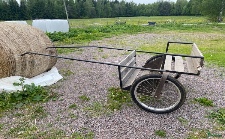 Körvagnar körning till salu i Borensberg - Annons 10