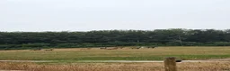 Allround hästar sökes: Hästar till verksamhet sökes i Johannishus - Annons 1
