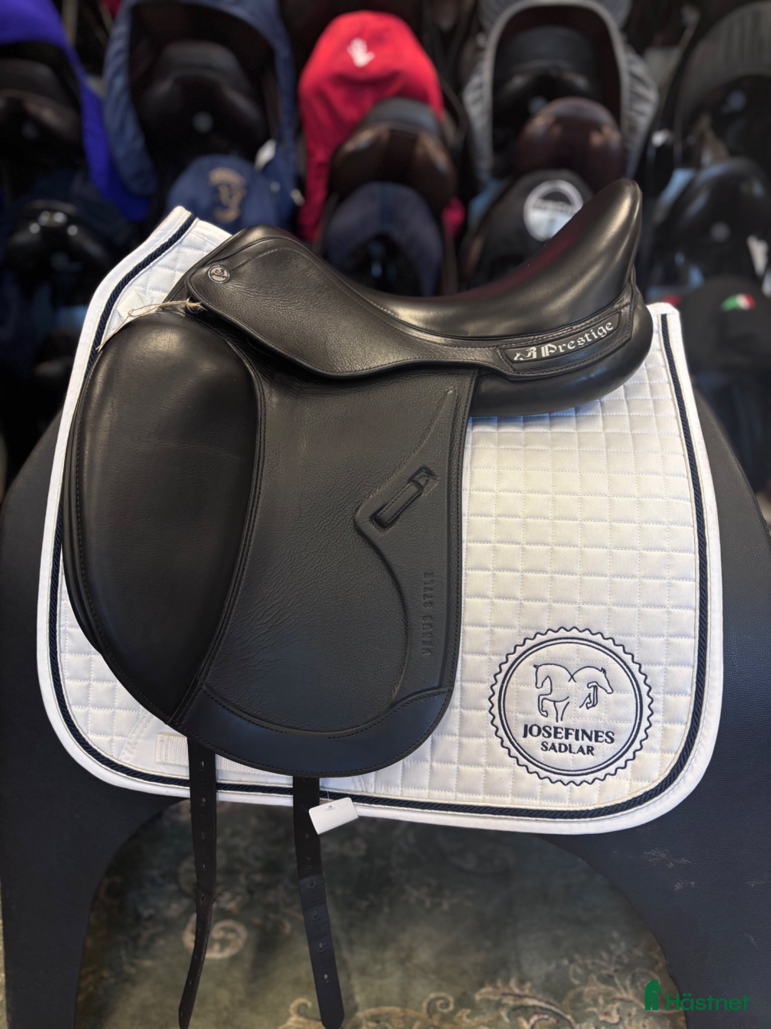 Sadlar hästutrustning Prestige Venus Style D+1 - Annons 4