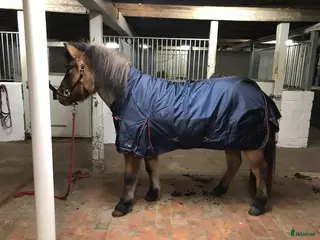 Täcken hästutrustning till salu: Halifax täcke 100g - Annons 4