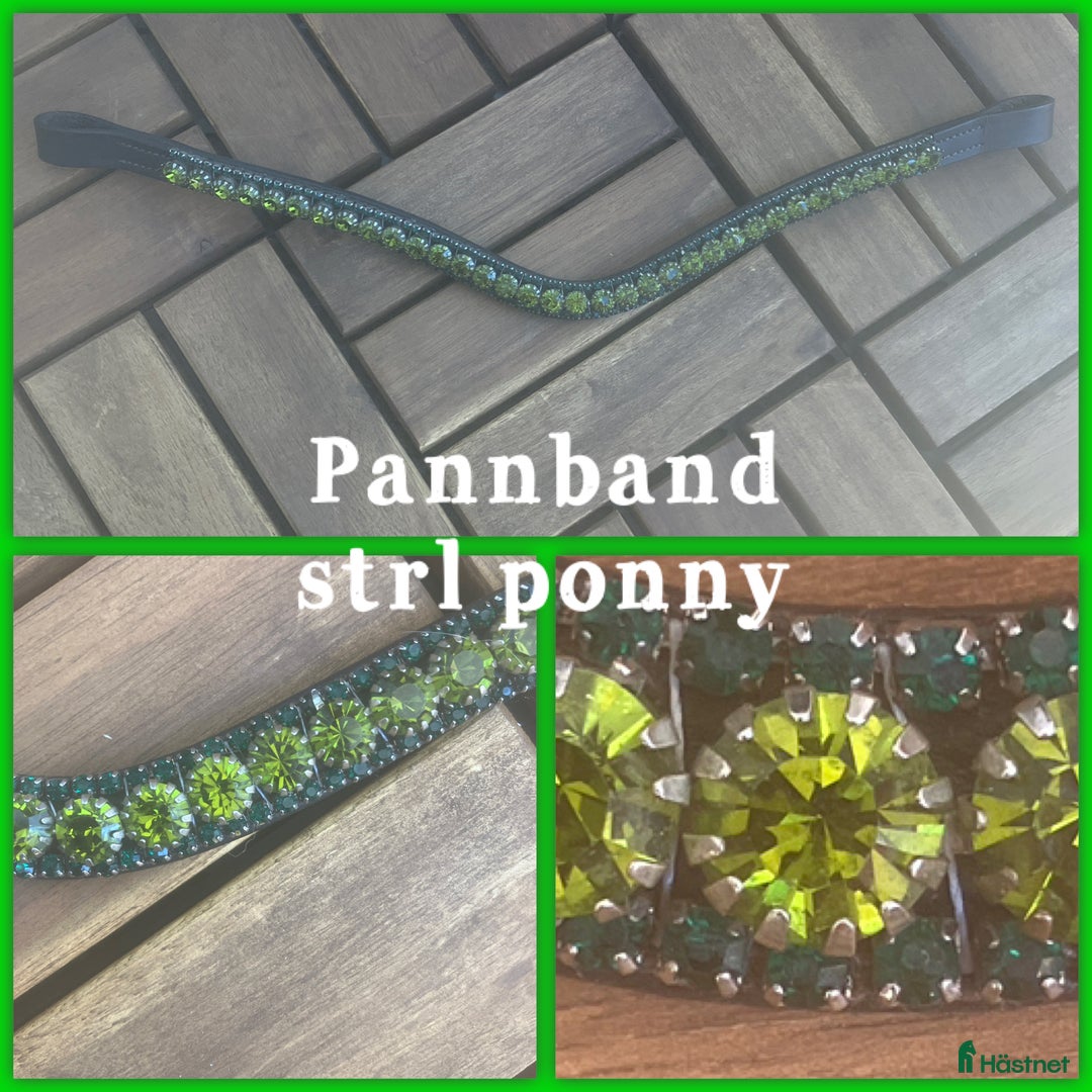 Övrig Hästutrustning hästutrustning till salu: Pannband säljes!!! i Alingsås - Annons 1