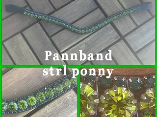 Övrig Hästutrustning hästutrustning till salu: Pannband säljes!!! i Alingsås - Annons 12