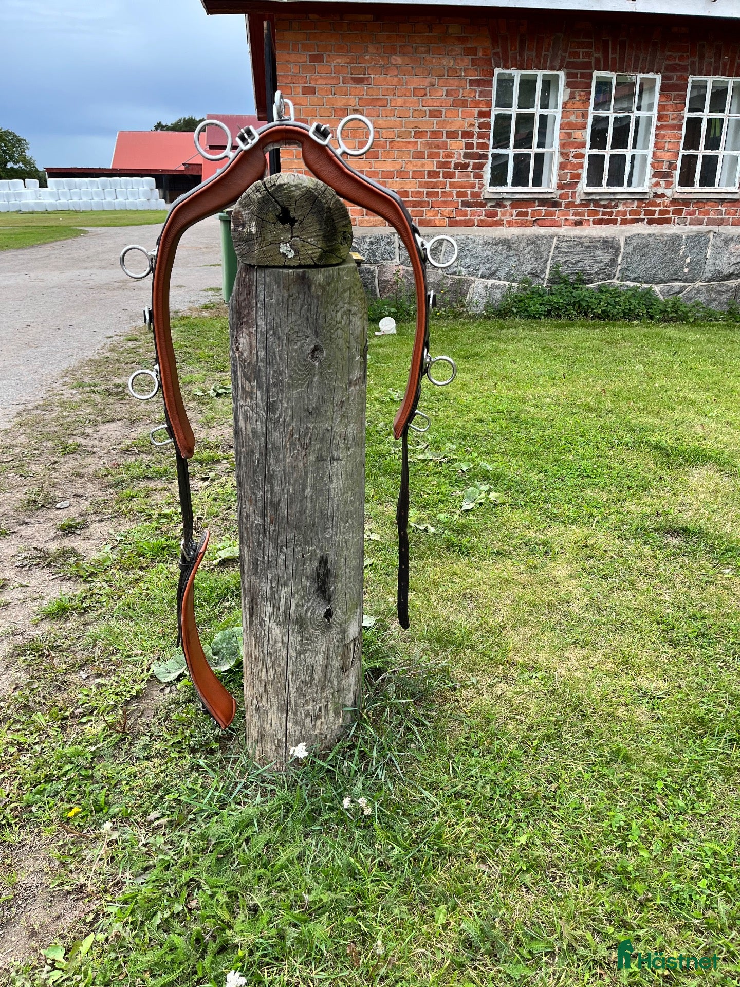 Övrig Körutrustning körning till salu: Tömkörningsgjord i läder  - Annons 5