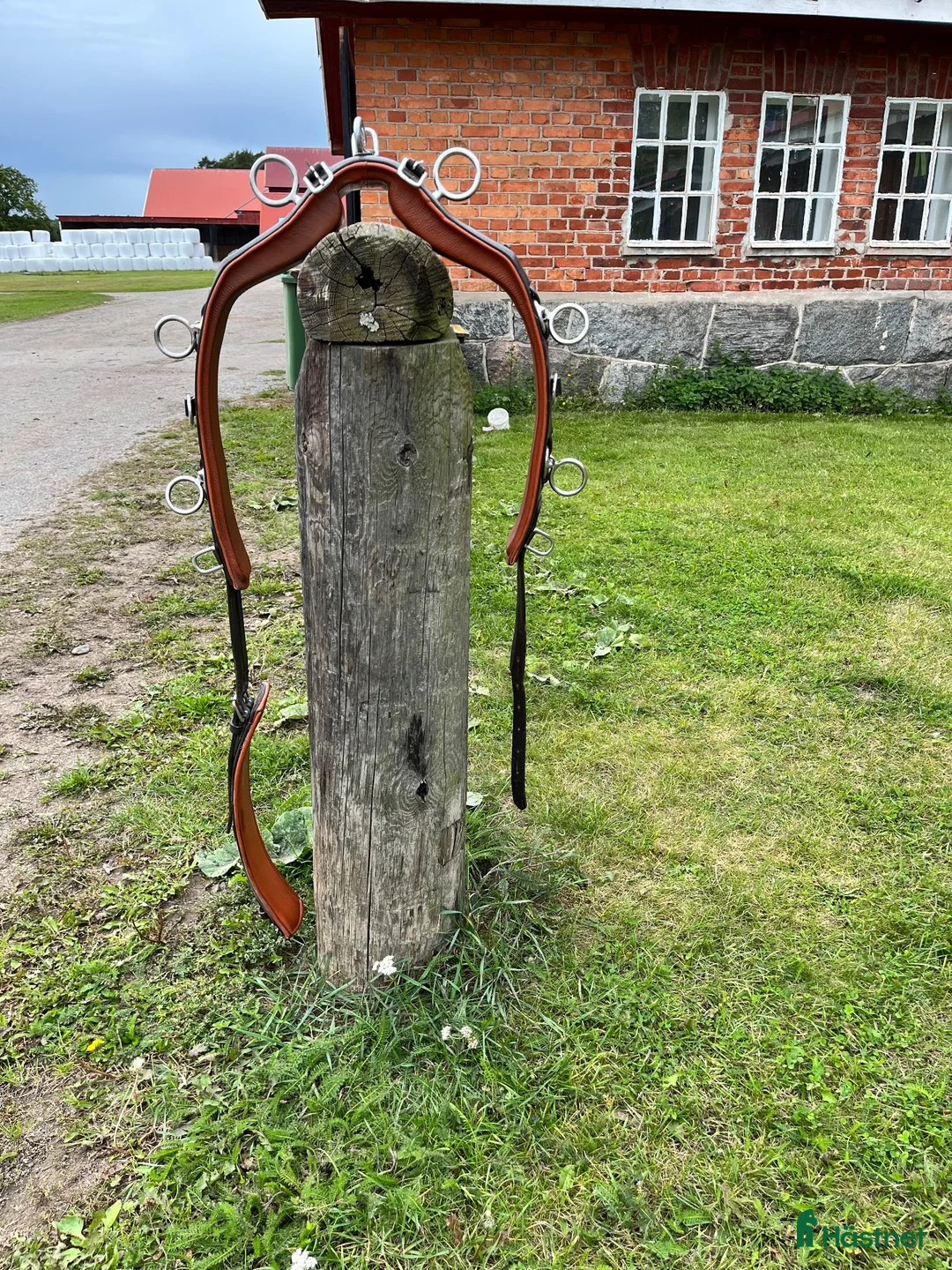 Övrig Körutrustning körning till salu: Tömkörningsgjord i läder  - Annons 1