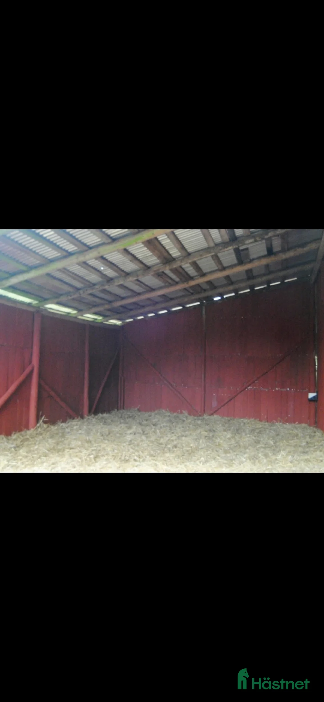 stallplats finnes: Stallplatser - Annons 2