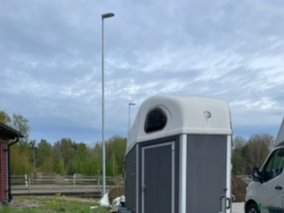 Hästtransporter fordon & transport till salu: Cheval liberte gold i Tyresö - Annons 14