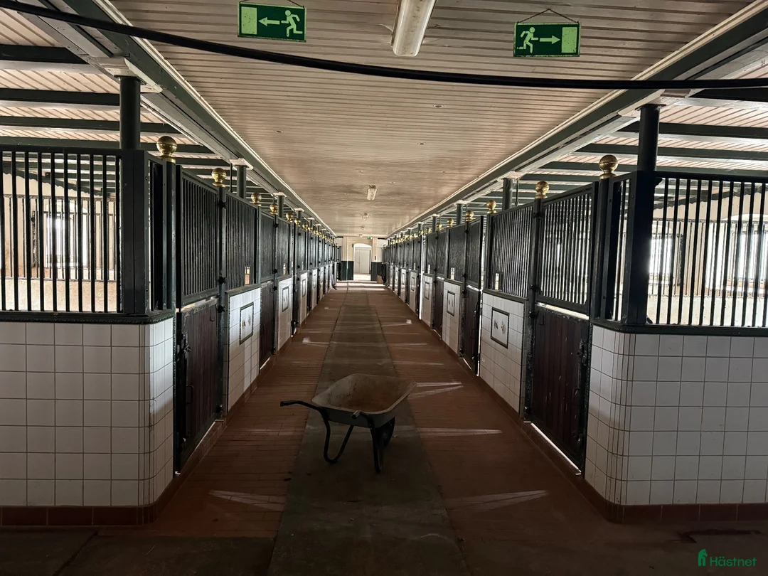  stallplats finnes: Stallplatser/rehab  i Floby - Annons 2