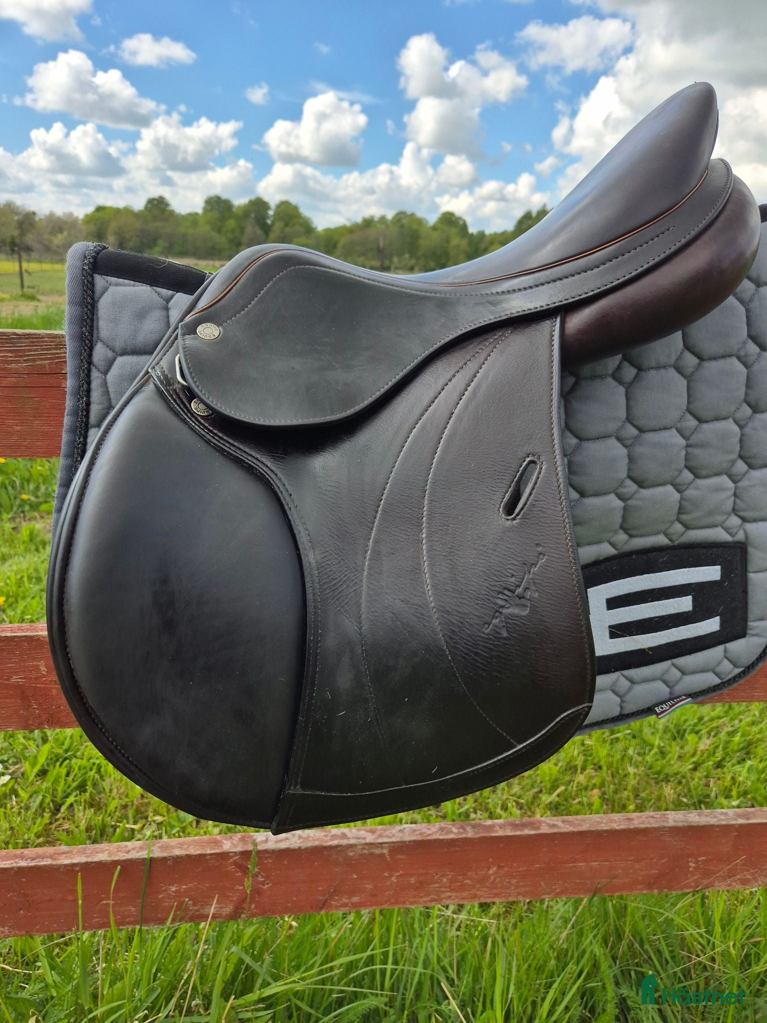 Sadlar hästutrustning Equipe Expression 15.5 - Annons 2