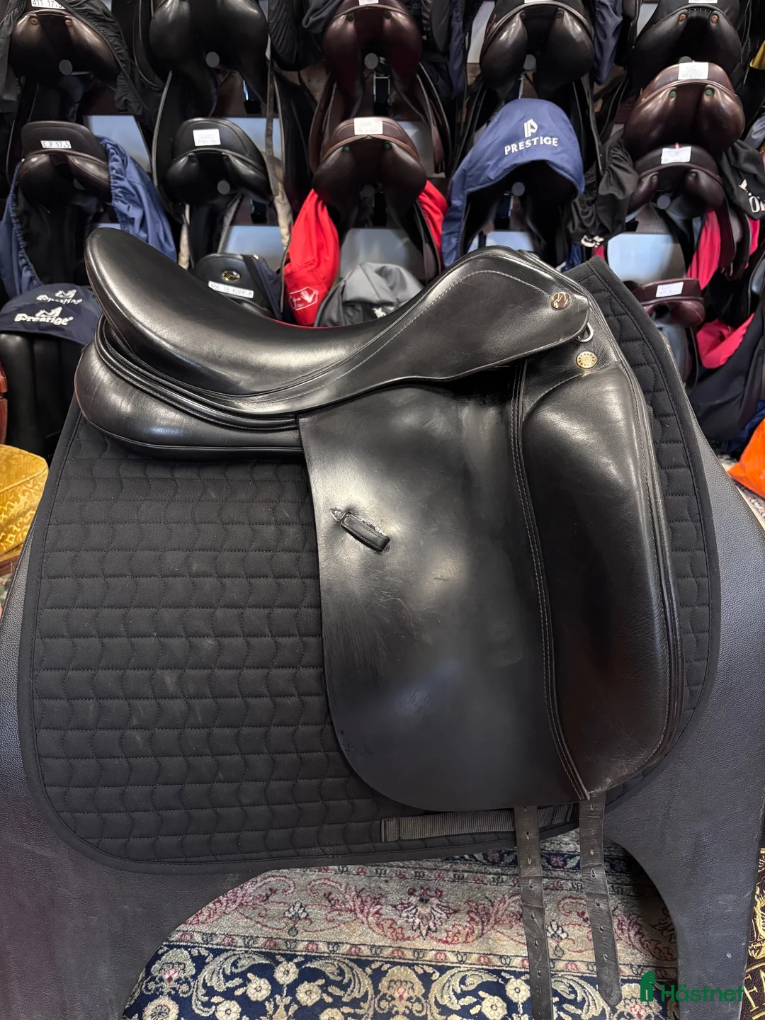 Sadlar hästutrustning till salu: Prestige Modena 18” (526) - Annons 2