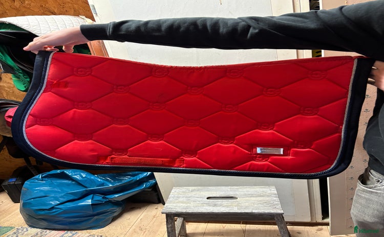 Schabrak & Vojlockar hästutrustning till salu i Enköping - Annons 18