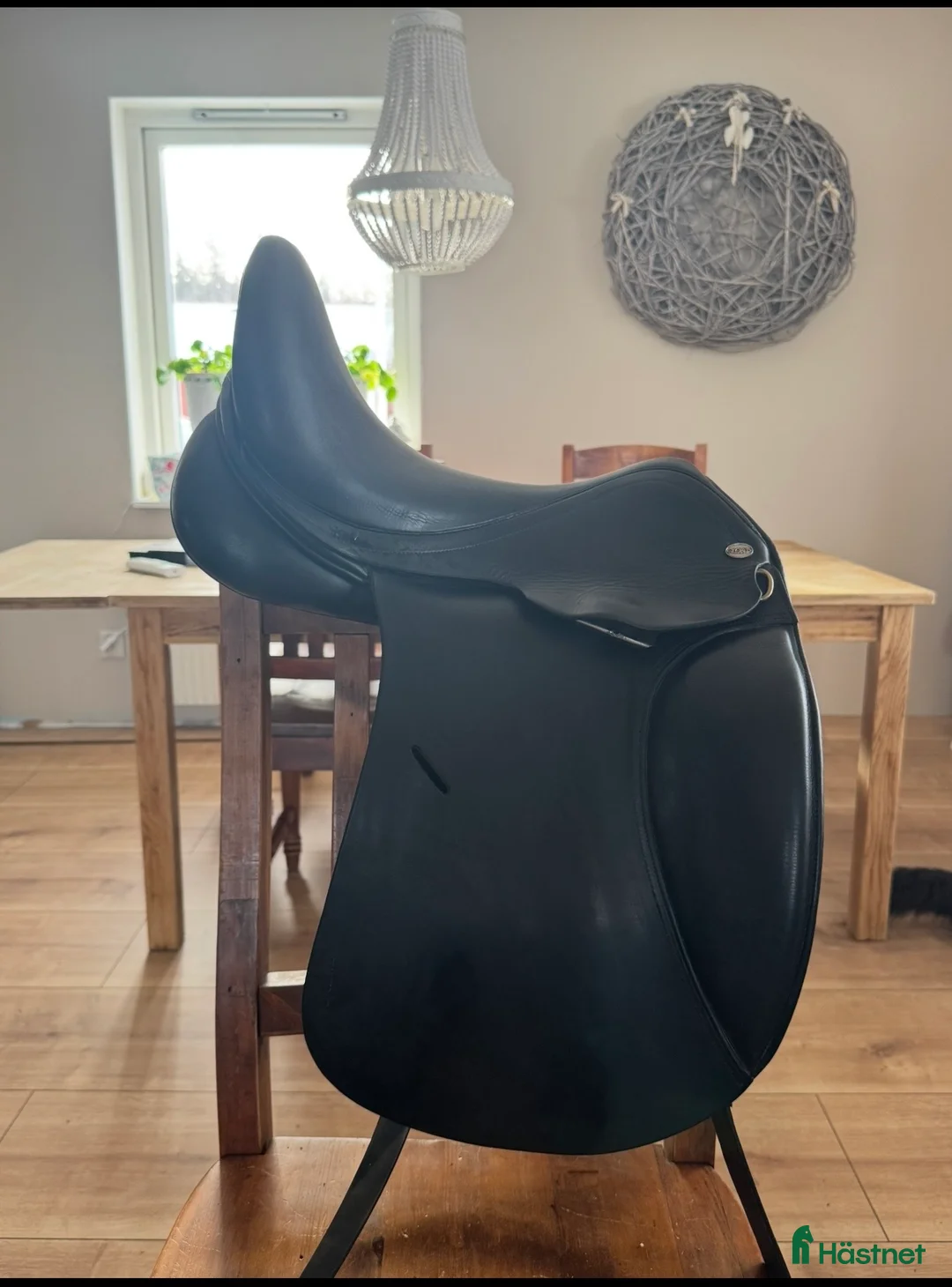 Sadlar hästutrustning till salu: Globus Crincle - Annons 2