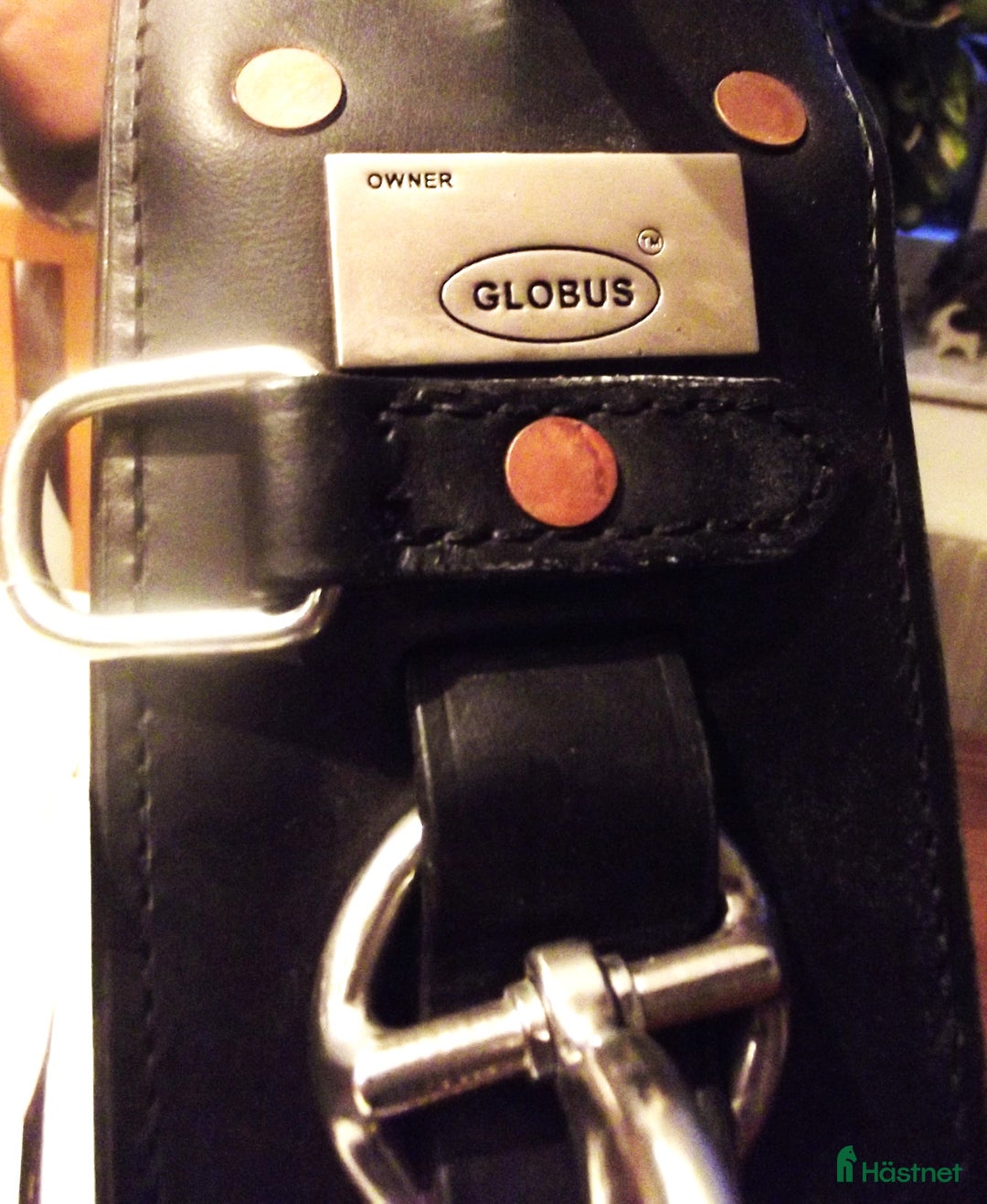 Övrig Hästutrustning hästutrustning till salu: TÖMKÖRNINGSGJORD GLOBUS BLACK DELUXE i Kalmar - Annons 3