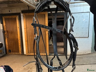 Övrig Hästutrustning hästutrustning till salu: Sele i Norrköping - Annons 14