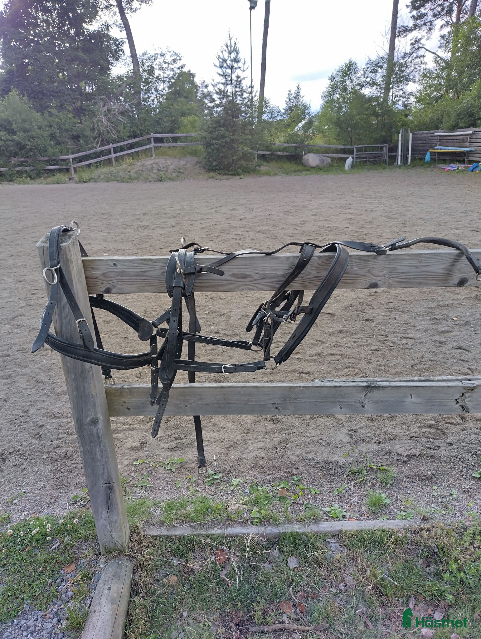 Körselar körning till salu: Körsele ponny  - Annons 1