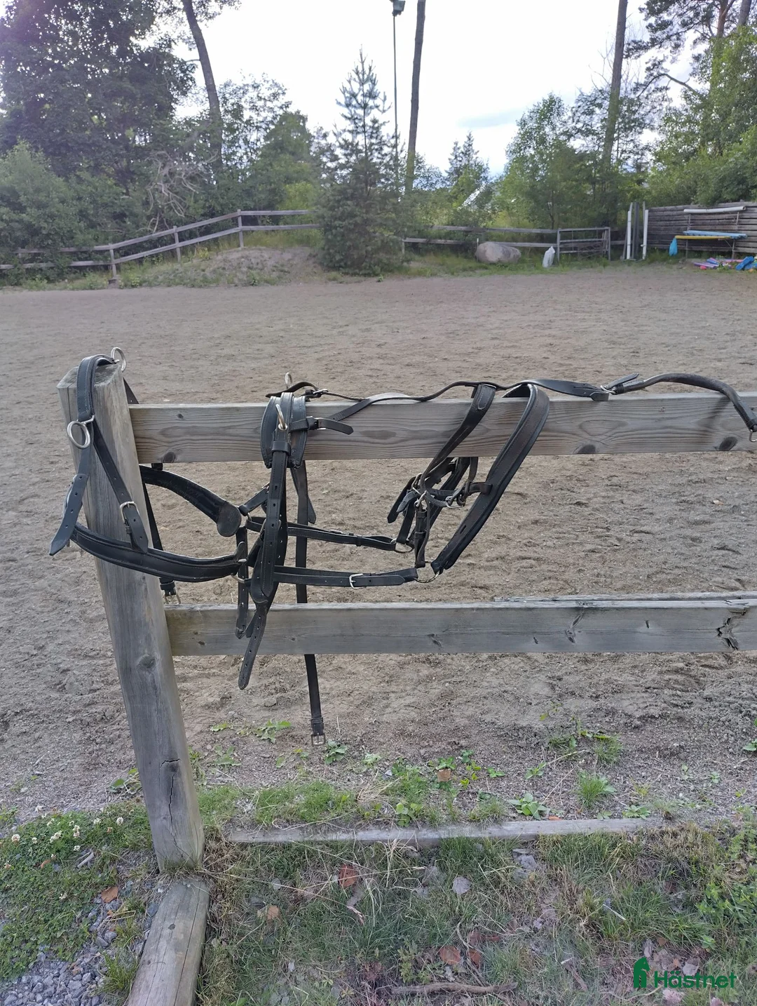 Körselar körning till salu: Körsele ponny  - Annons 1