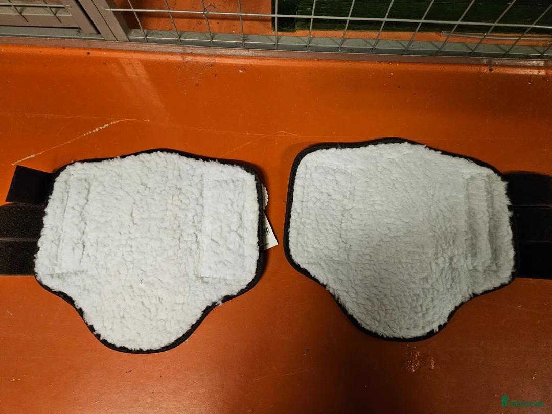 Benskydd hästutrustning till salu: Teddyfodrade benskydd från Horze - Annons 4