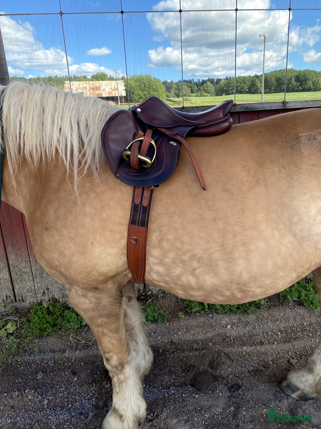Sadlar hästutrustning till salu: 2GS Mademoiselle 16' i Alunda - Bild 5
