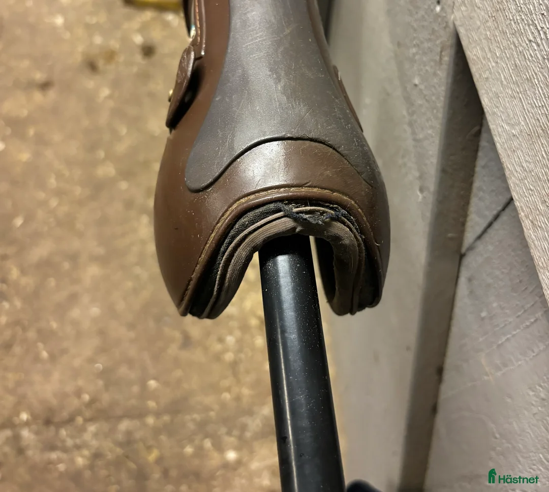 Benskydd hästutrustning till salu: Veredus framskydd  i Ljusterö - Annons 3