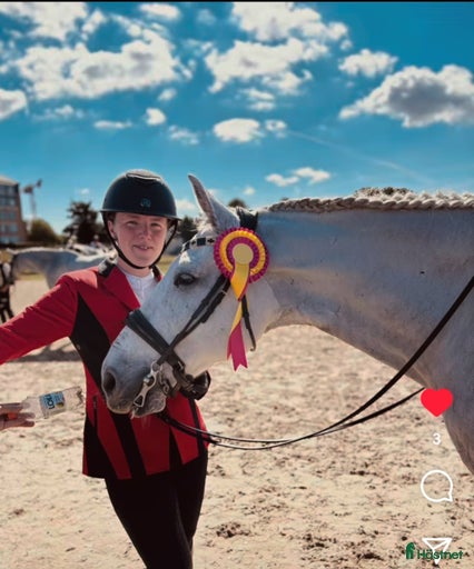 Galleribild {{count}}