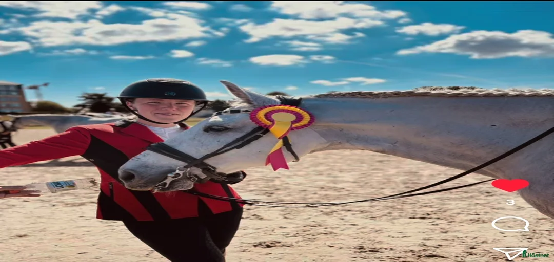 Galleribild {{count}}