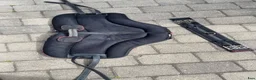 Övrig Hästutrustning hästutrustning till salu: Pioneer ridpad stl ponny svart - Annons 3