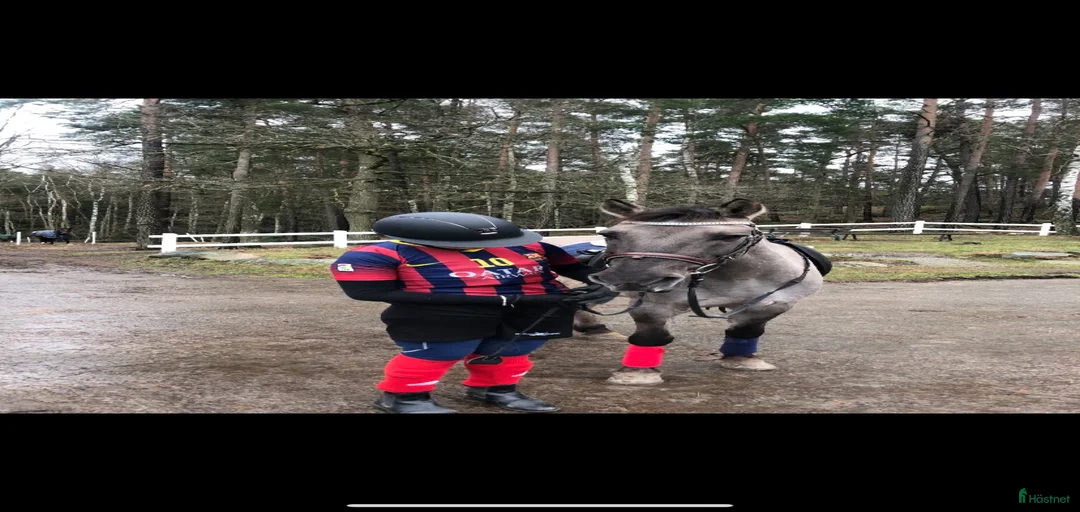 Galleribild {{count}}