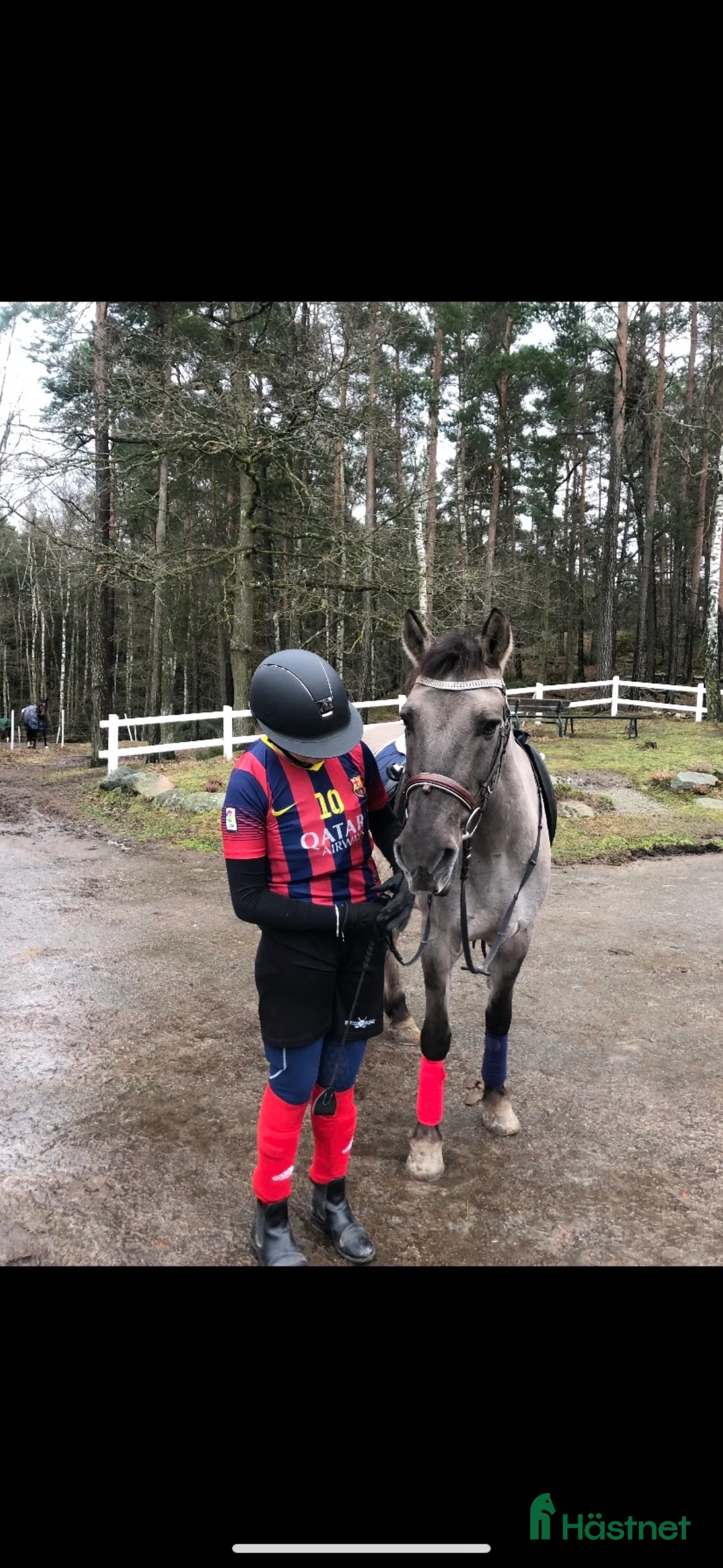 Galleribild {{count}}