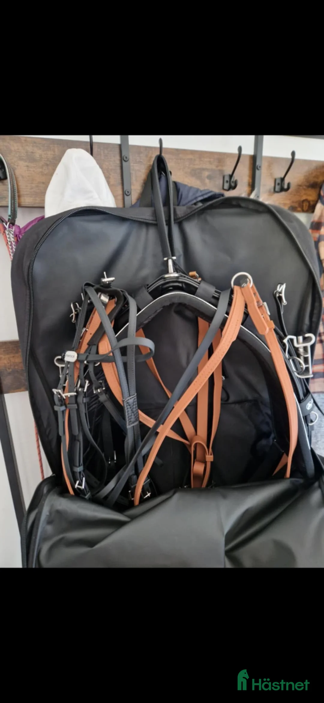 Travselar trav till salu: Tävlingsselar - Annons 3