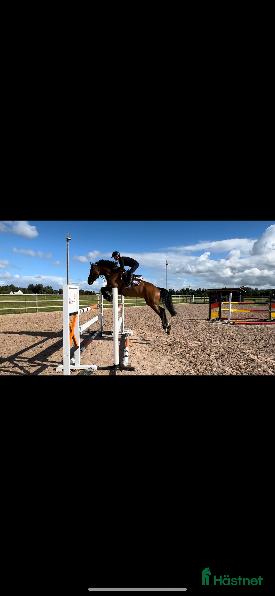 Hoppning hästar till salu: SWB- valack med hjärta av guld i Våxtorp - Annons 5