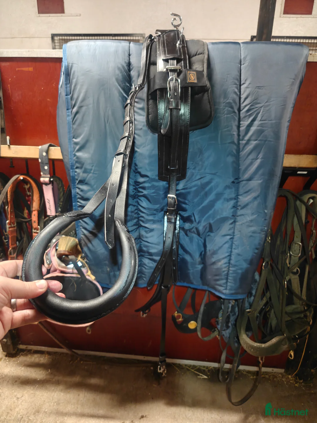 Körselar körning till salu: Däckel (sele) - Annons 3