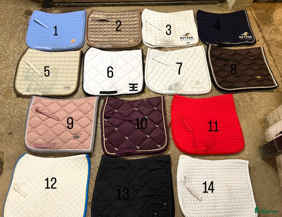 Schabrak & Vojlockar hästutrustning till salu: Dressyrschabrak stl full  - Annons 1