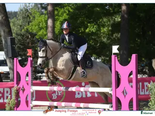 hästar Competitive D Pony scope 120 in France i Stockholm - Annons 4