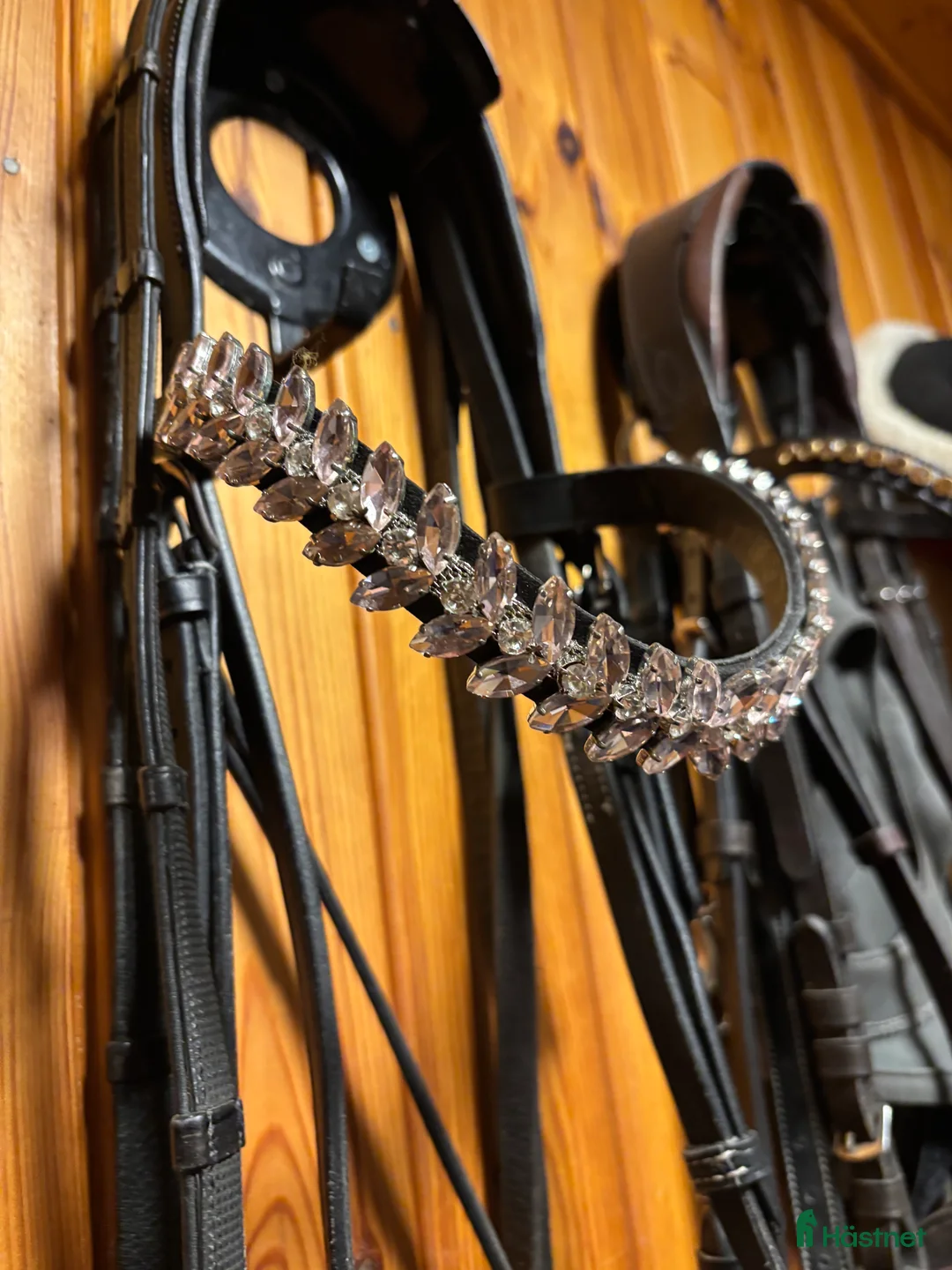 Träns hästutrustning till salu: Pannband,  - Annons 1