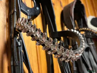 Träns hästutrustning Pannband, - Annons 2