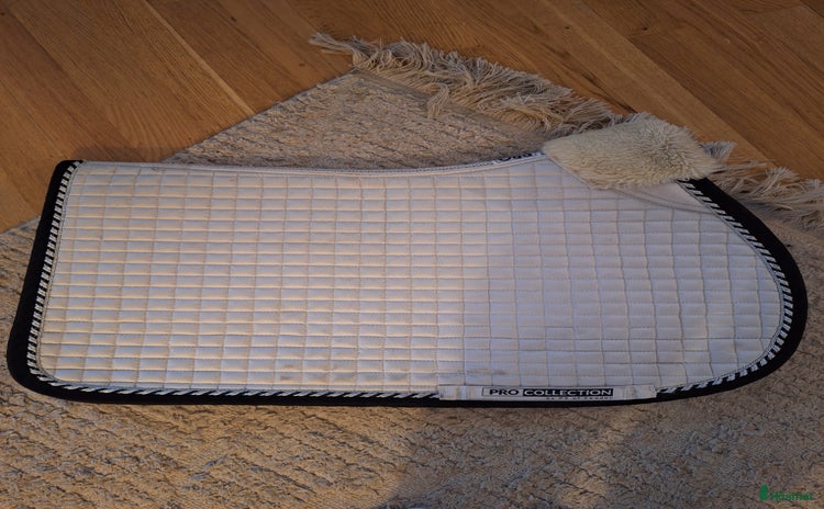 Sadeltillbehör hästutrustning till salu: Ps of sweden pro collection i Norrköping - Annons 11