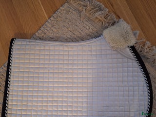 Sadeltillbehör hästutrustning till salu: Ps of sweden pro collection i Norrköping - Annons 22