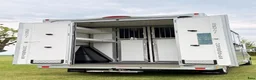 Hästlastbilar  fordon & transport till salu: NY Horsepartner Exclusive - Renault Master - Annons 15