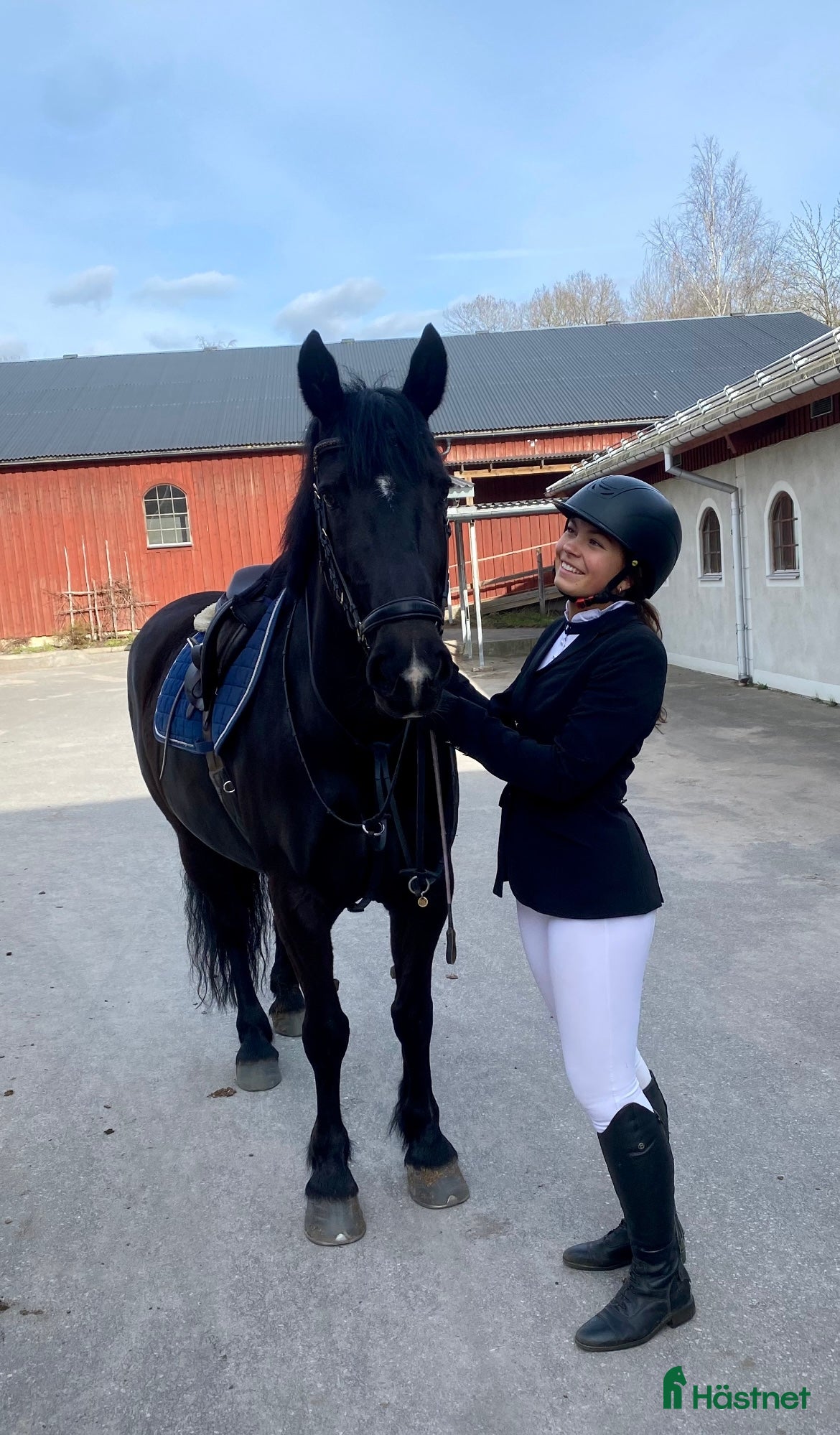  medryttarhäst sökes: Medryttarhäst sökes  - Annons 6