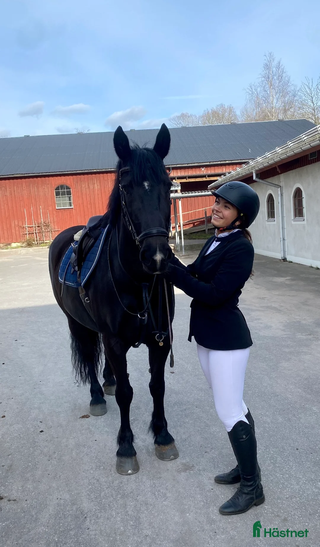  medryttarhäst sökes: Medryttarhäst sökes  i Enskede - Annons 1