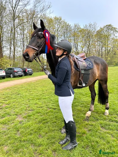 Galleribild {{count}}