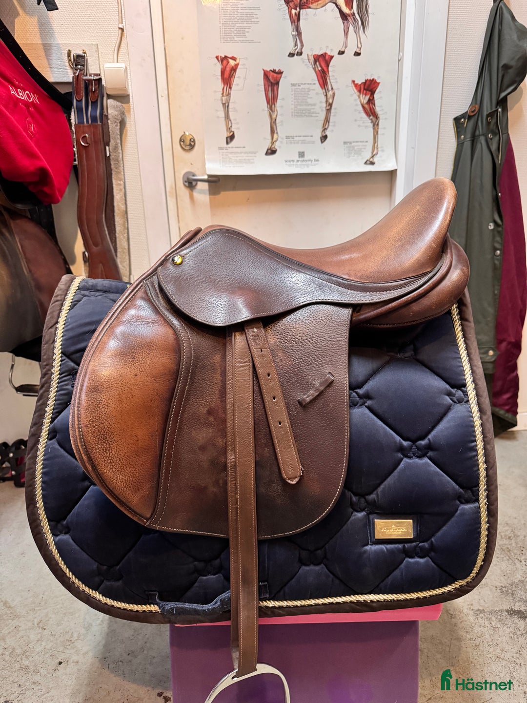 Sadlar hästutrustning till salu: Hoppsadel säljes i Örkelljunga - Annons 1