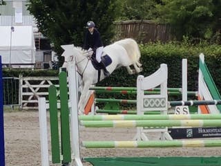 hästar Potential top track pony i Madrid - Annons 6