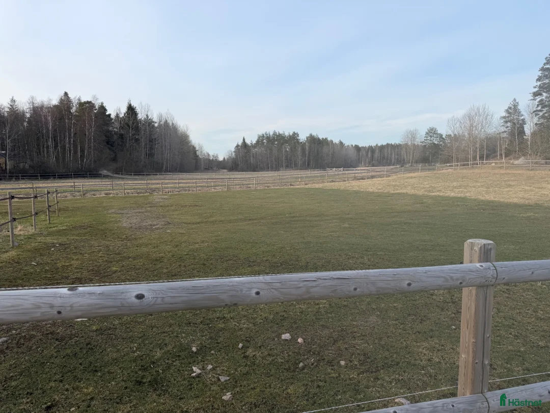  stallplats finnes: Lösdrift i Almunge - Annons 15