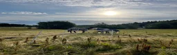  stallplats finnes: Ledig boxplats - Annons 4