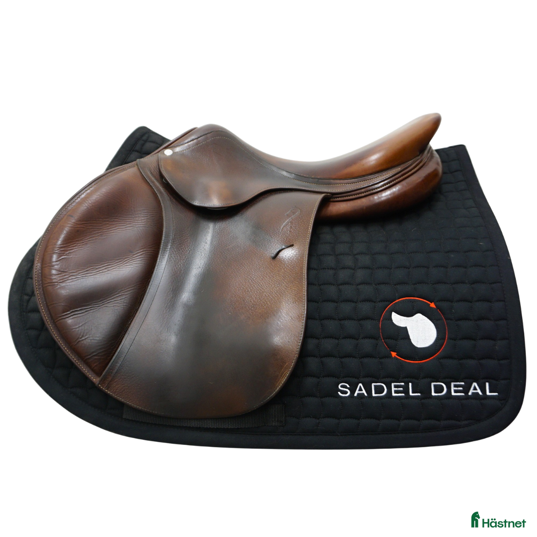Sadlar hästutrustning Antarès SC 17" - Annons 13