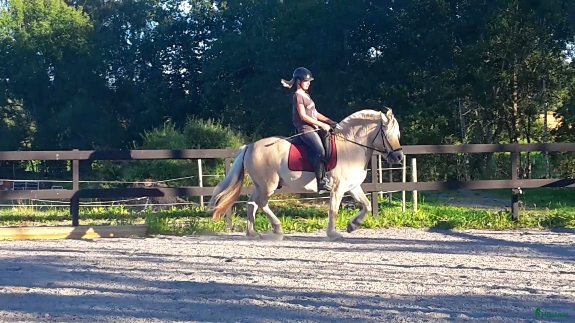  stallplats Stall sökes i Sunhultsbrunn - Annons 14