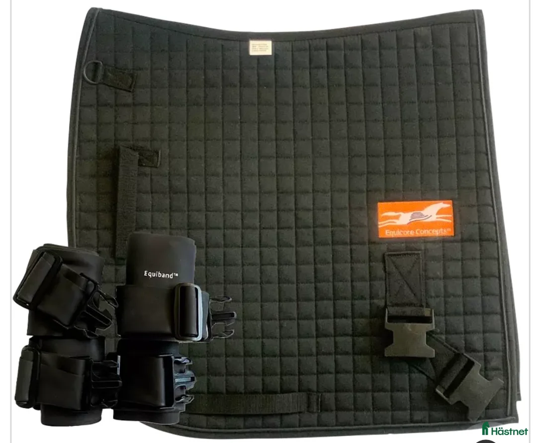Övrig Hästutrustning hästutrustning till salu: Equiband PRO SYSTEM - Annons 1