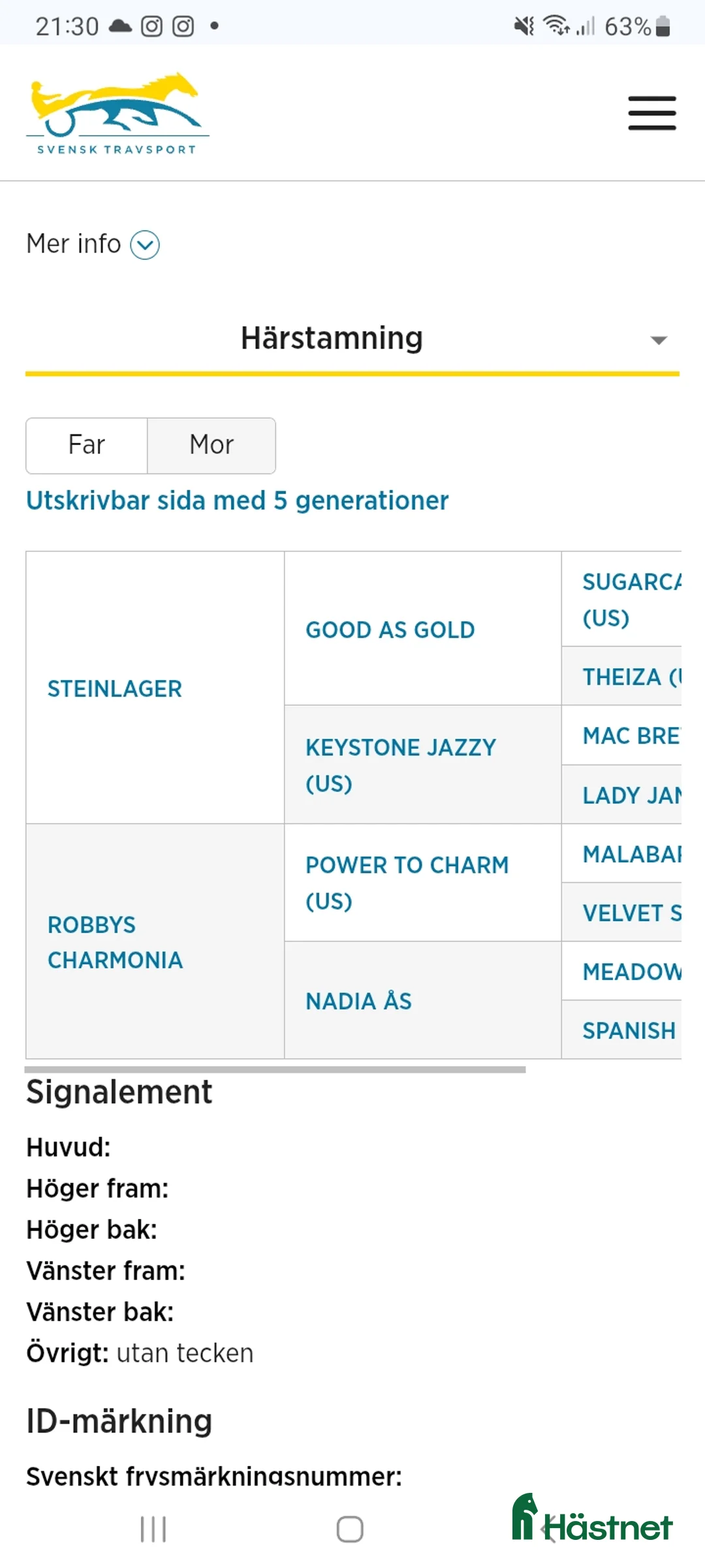 Trav hästar till salu: Fölsto sällskap i Kalmar - Annons 3