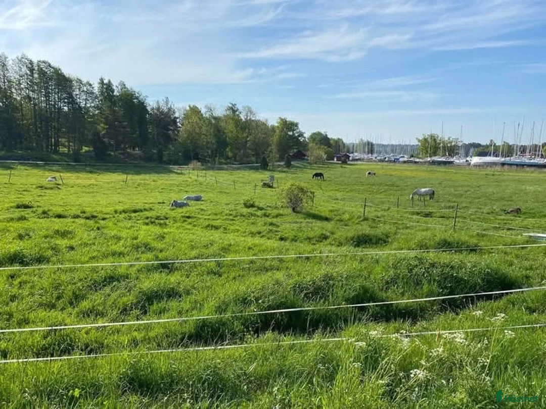  stallplats finnes: Ledig stallplats på Stall Bullandö - Annons 2